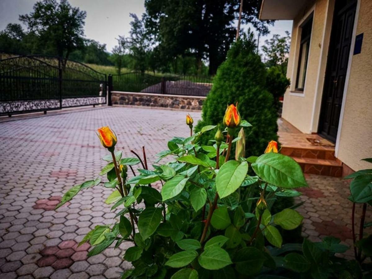 Gacka-Beautiful Place in Nature Otočac Exterior foto